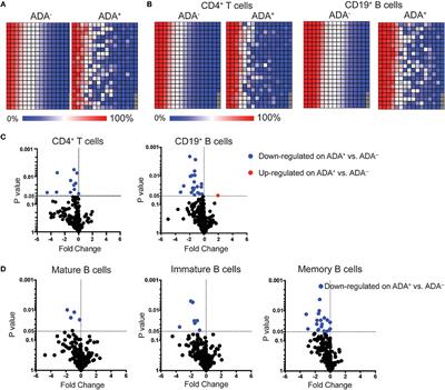 Low Percentage of Signal Regulatory Protein α/β+ Memory B Cells in Blood Predicts Development of Anti-drug Antibodies (ADA) in Adalimumab-Treated Rheumatoid Arthritis Patients